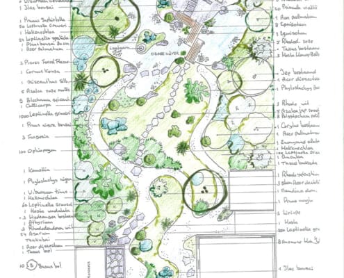 Japanse tuin op maat